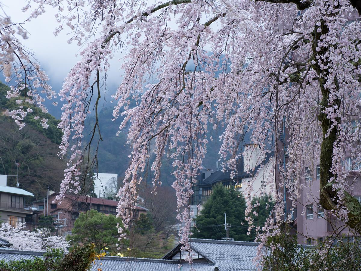 Arima Onsen Motoyu Ryuusenkaku Hotel Kobe Eksteriør billede