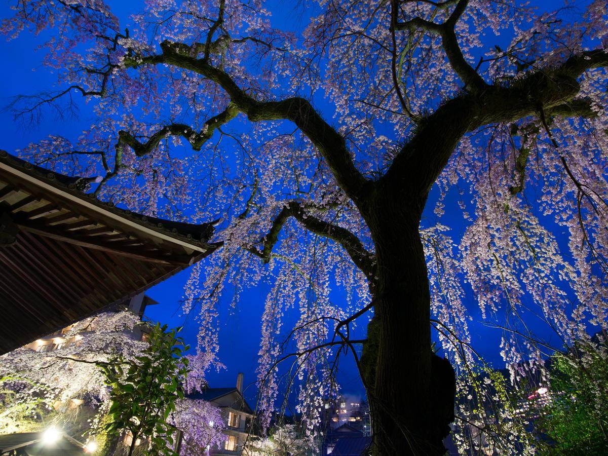 Arima Onsen Motoyu Ryuusenkaku Hotel Kobe Eksteriør billede